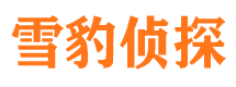 红山侦探公司